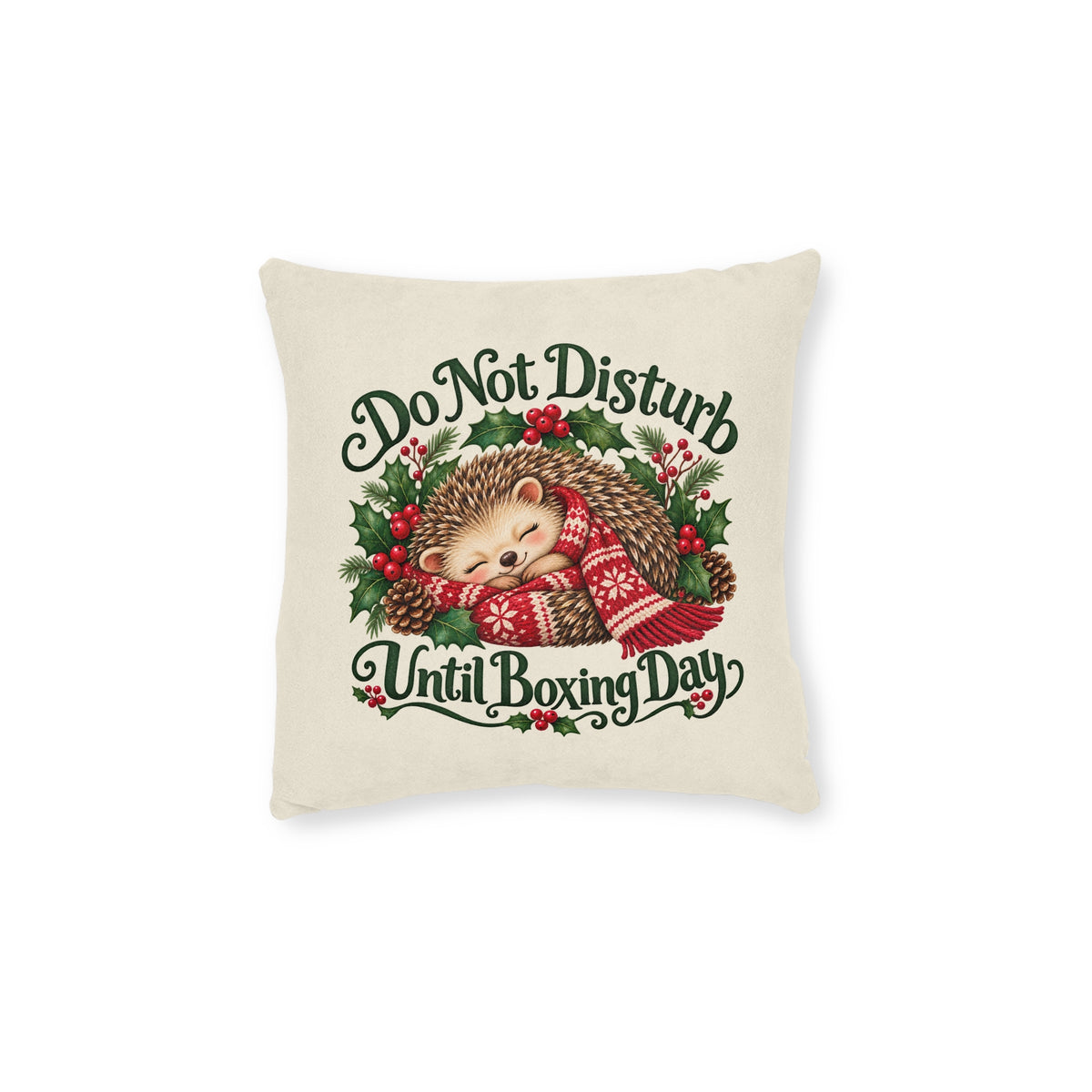 Do Not Disturb Until Boxing Day Hedgehog Cushion — additional product view 2