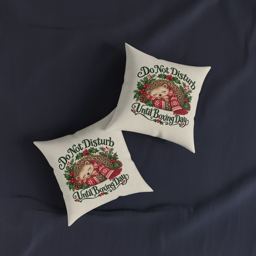 Do Not Disturb Until Boxing Day Hedgehog Cushion — additional product view 3