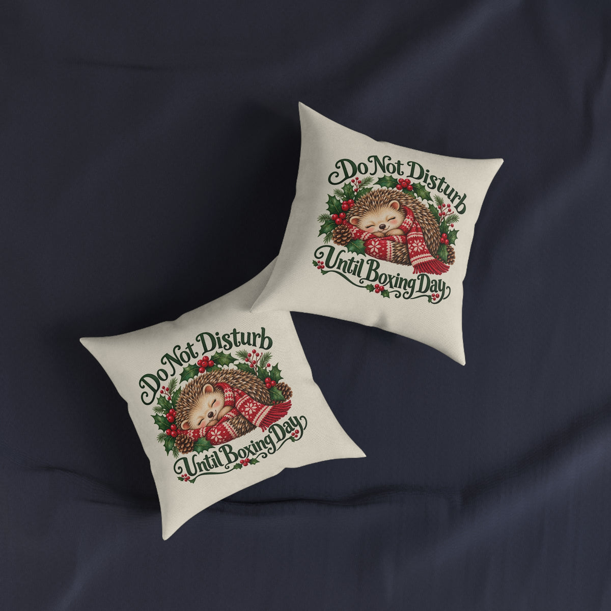 Do Not Disturb Until Boxing Day Hedgehog Cushion — additional product view 3