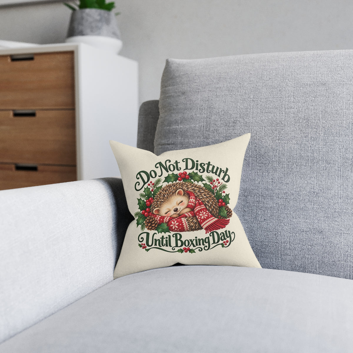 Do Not Disturb Until Boxing Day Hedgehog Cushion — additional product view 4